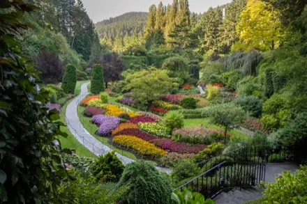 Sur cette photographie couleur, le Jardin en contrebas se démarque par son dénivelé et un sentier de gravier qui le traverse. Plusieurs buissons et arbustes parsèment ce jardin où les couleurs orangées et vertes se distinguent. Les fleurs y ajoutent de beaux tons de rouge, d’orange et de violet.
